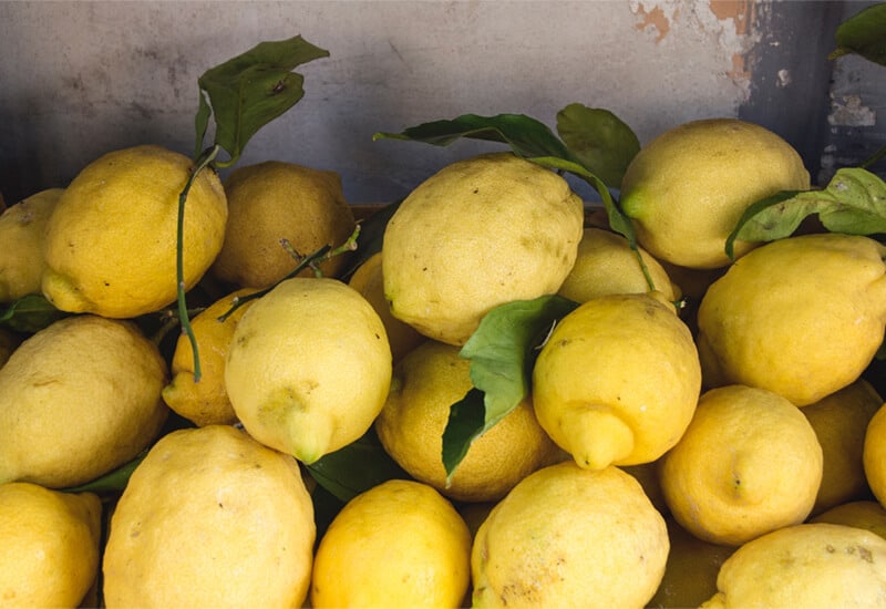 Lemons from Sorrento