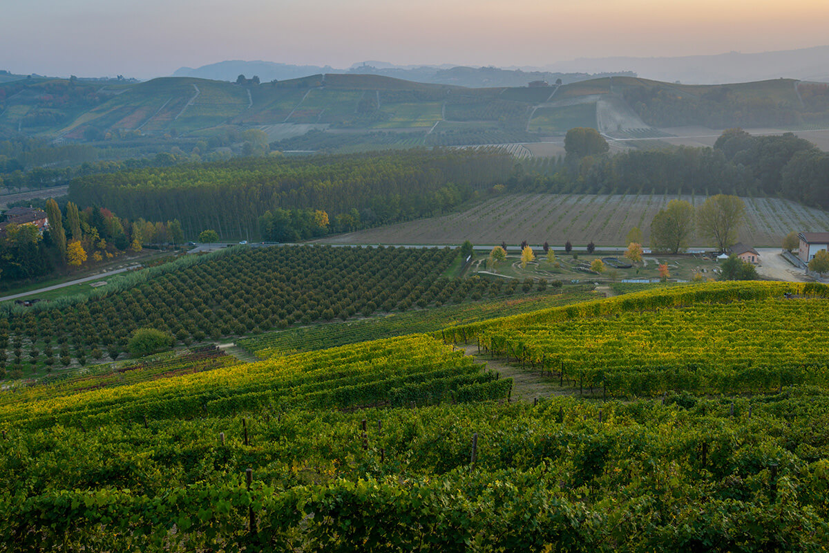 barolo wine region